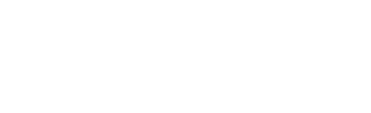 Smart Audit