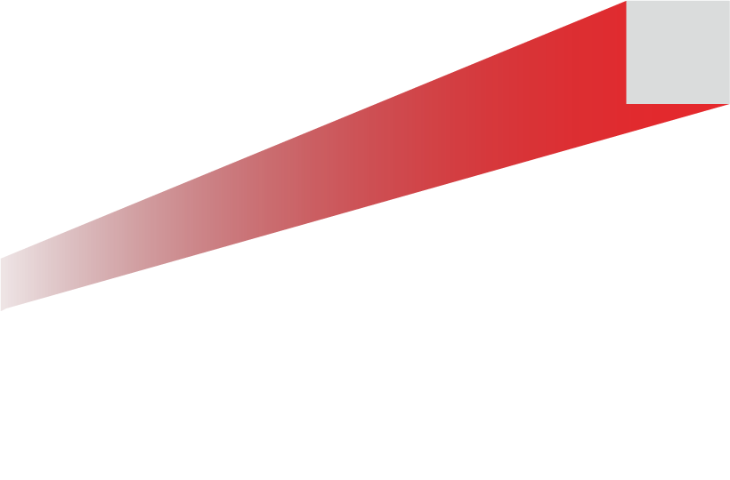 Foreseeing Government Audit Future