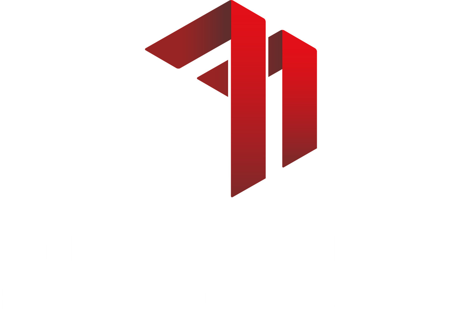 Financial Audit Authority